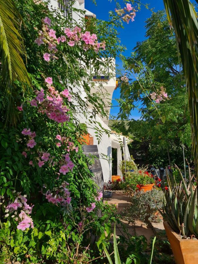 Bed & Breakfast Cortijo La Haza 3*