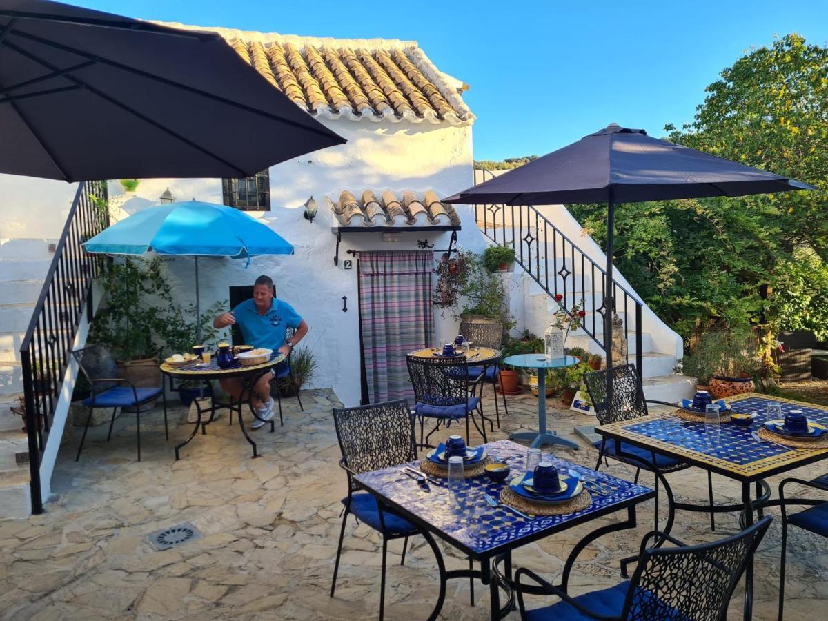 Cortijo La Haza Bed & Breakfast