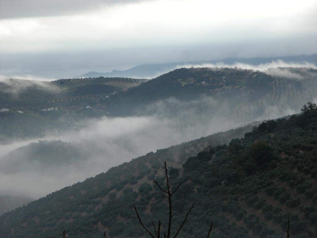 Cortijo La Haza Iznájar